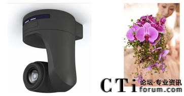 ��(d��)�����^���r��������